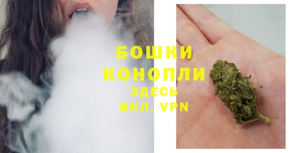 шишки Алзамай