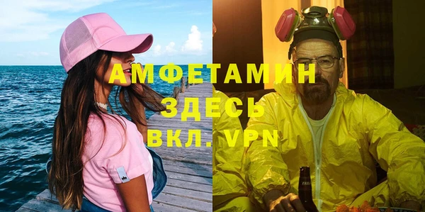 шишки Алзамай