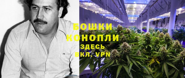шишки Алзамай