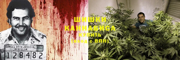 шишки Алзамай