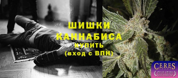 шишки Алзамай