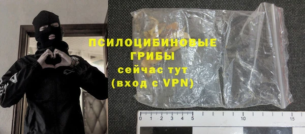 шишки Алзамай