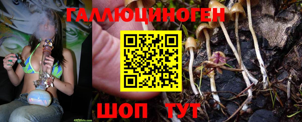 Галлюциногенные грибы GOLDEN TEACHER  Вход с VPN  Похвистнево 